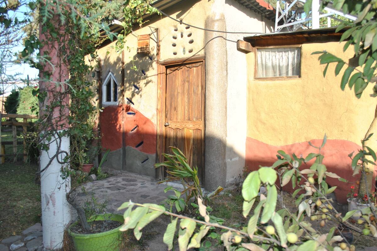 A rustic building with a wooden door, a small window, and a potted plant in the foreground.