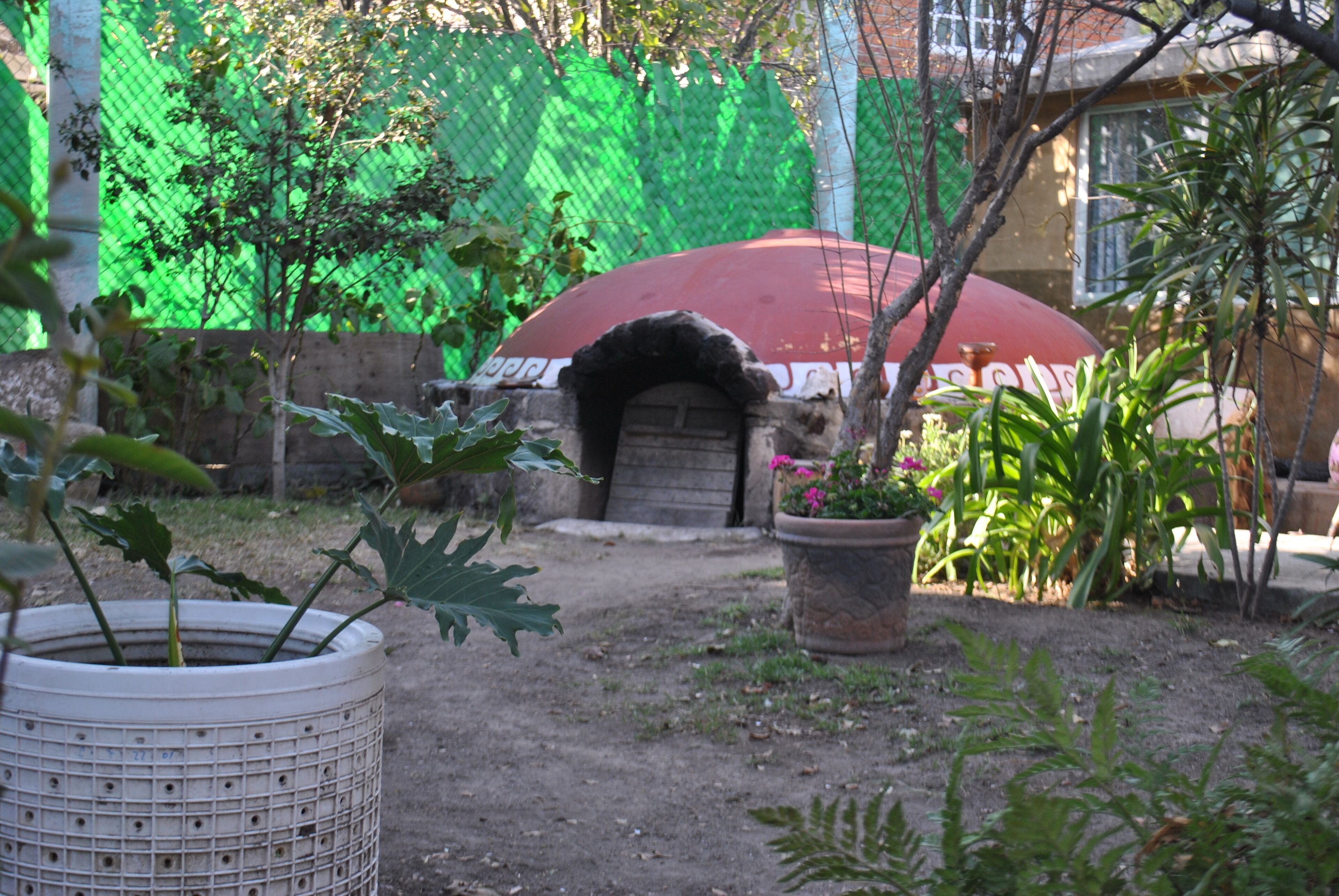 Un jardín con horno de ladrillo, plantas en macetas y una cerca verde.