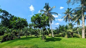 A lush, green landscape with palm trees and a grassy area, likely a tropical garden or park.