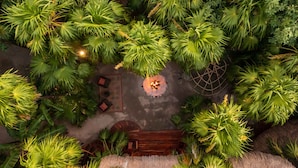 Vista aérea de un jardín exuberante con un hogar central rodeado de diversas plantas verdes.
