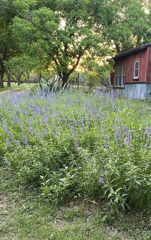 Área da propriedade