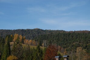 Miscellaneous - Apartment 'Haus Rappolder - Ferienwohnung' with Mountain View, Private Garden and Wi-Fi (Mittenwald)