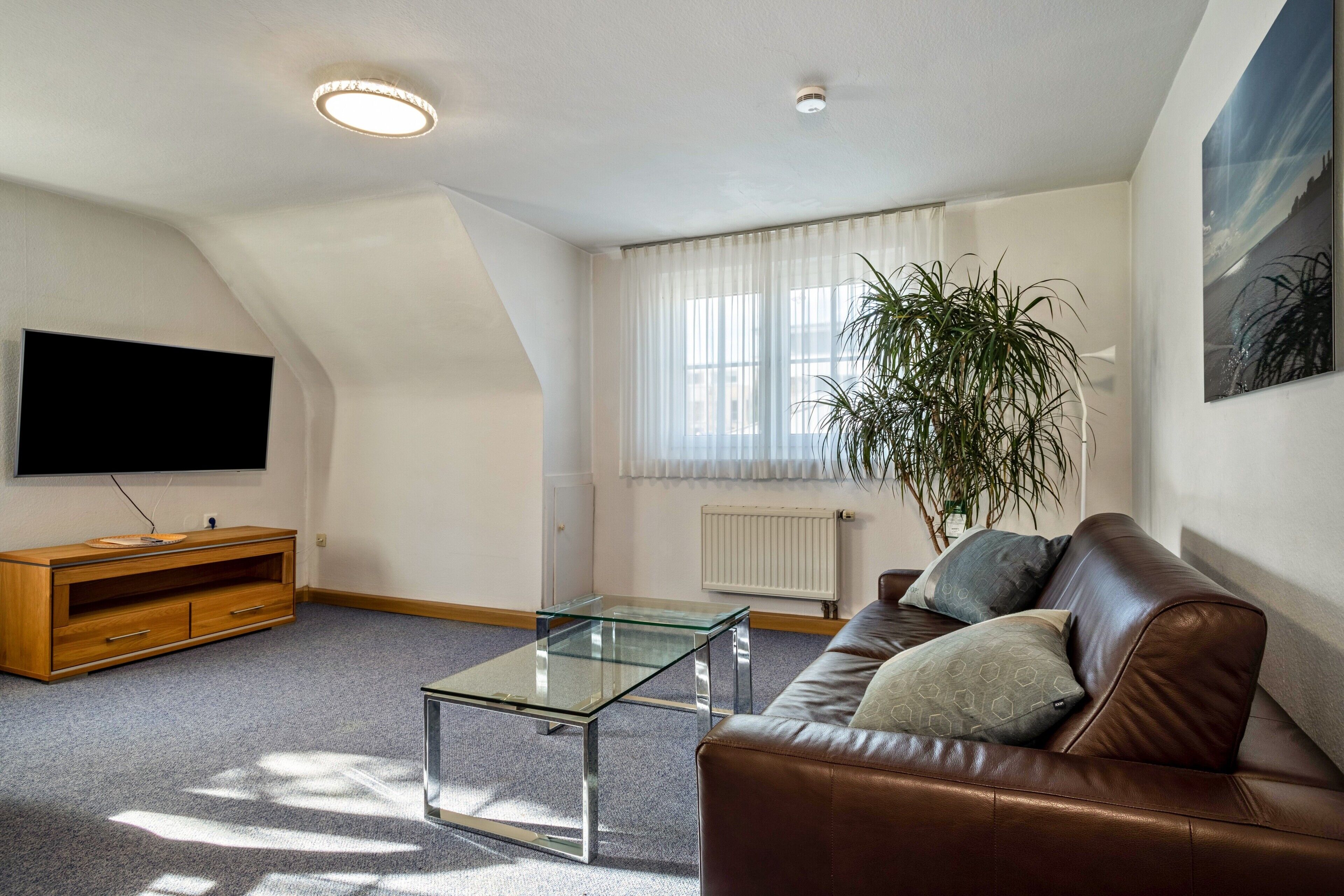 Fernseher