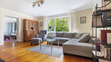 TV, fireplace, DVD player, ping pong