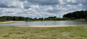 A lake with a sandy shore, surrounded by trees and a cloudy sky.