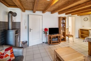 Télévision, cheminée, chaîne hi-fi