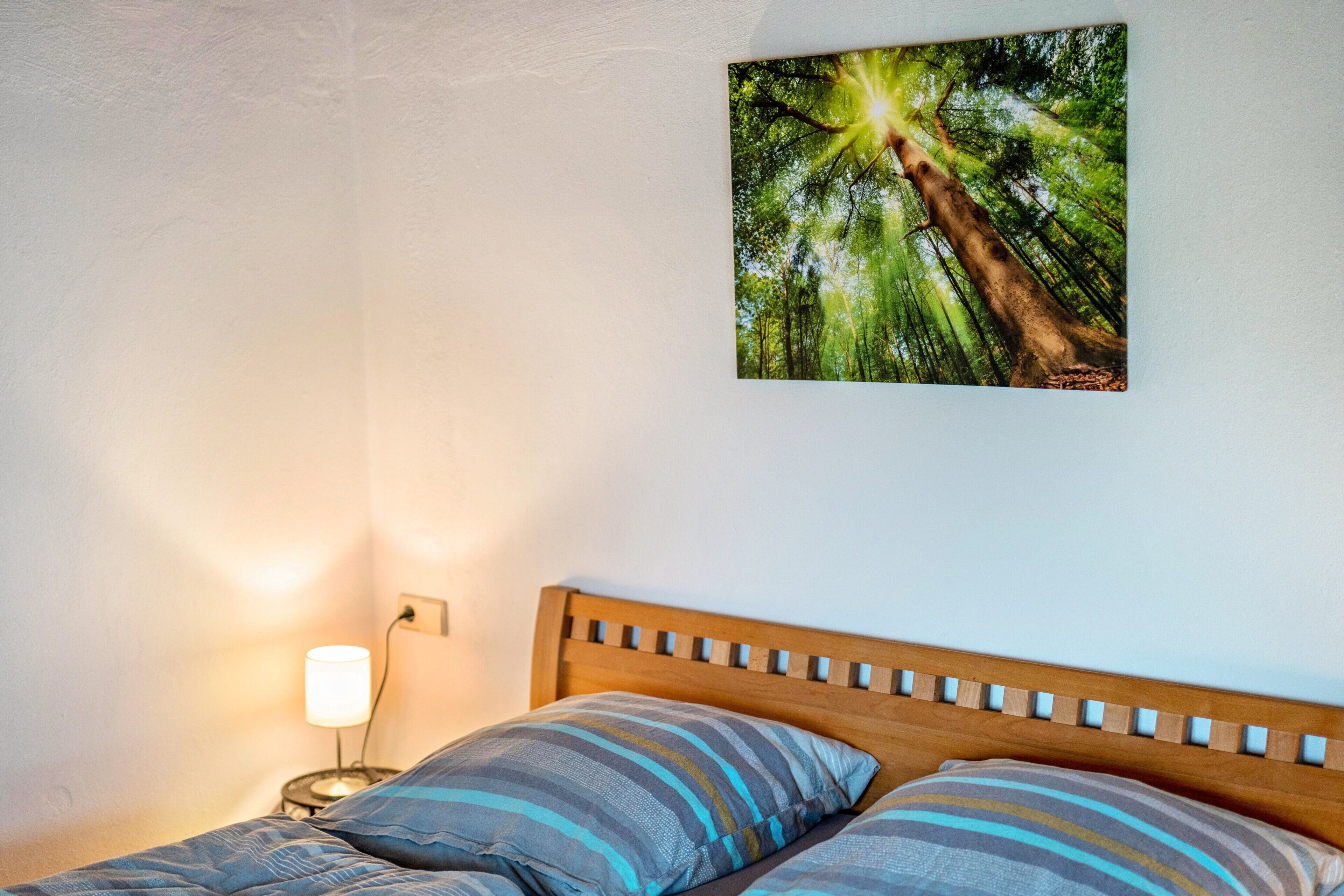 A bedroom with a wooden headboard, a nightstand with a lamp, and a framed forest photograph on the wall.