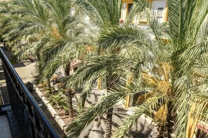 A row of palm trees lining a walkway. - The Printhouse-Boutique Apt by SeaNRent  (Haifa)