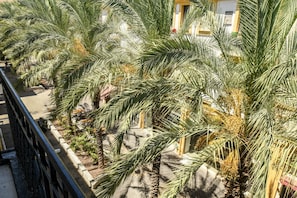 Une rangée de palmiers bordant un chemin piétonnier.