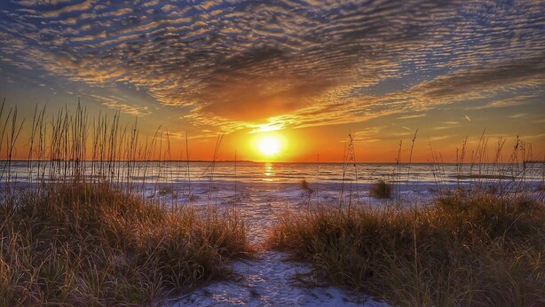 A sunset over a beach with tall grasses in the foreground.