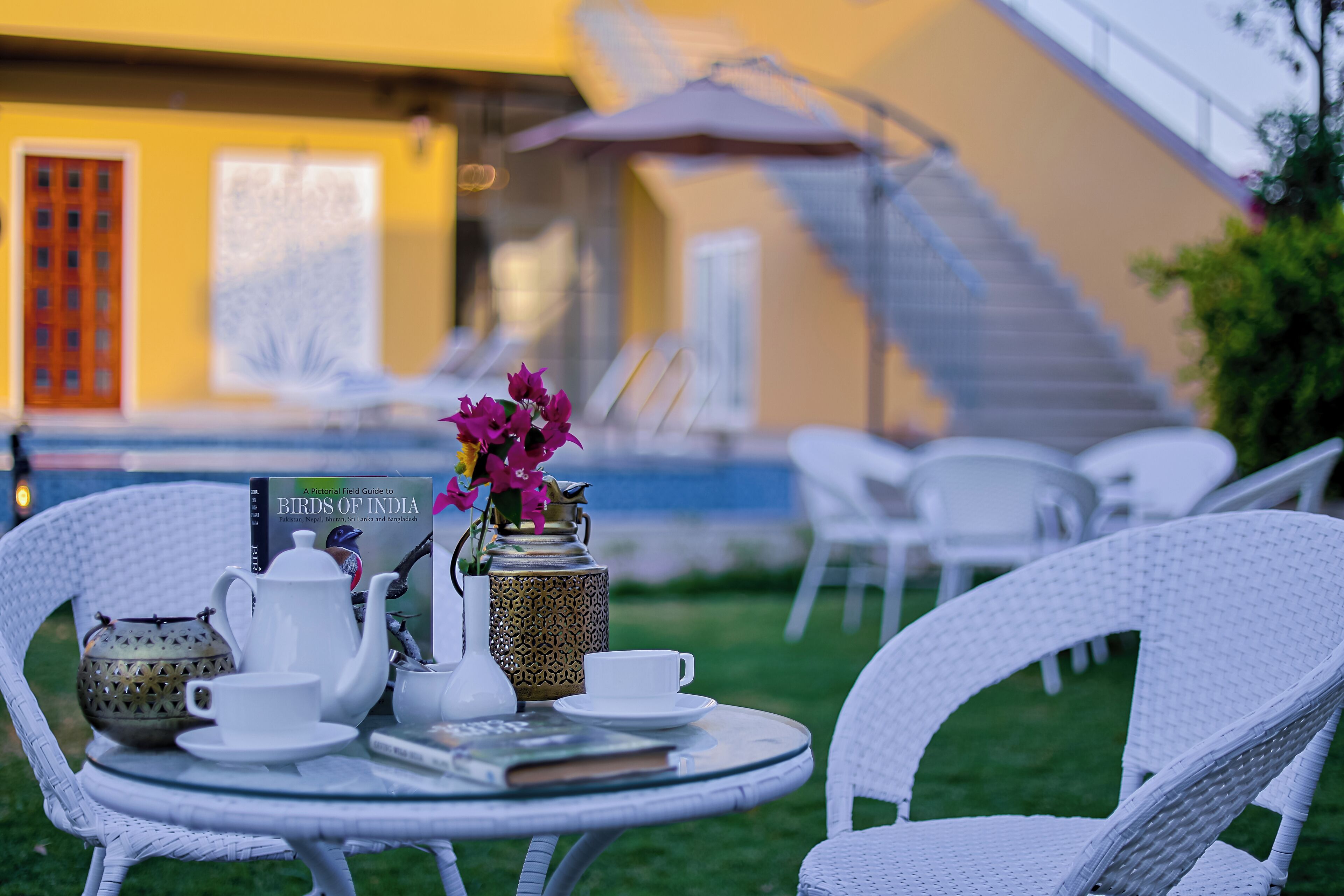 A round glass table with white wicker chairs, a white teapot, cups, and a book titled "Birds of India" on a grassy outdoor area with a yellow building in the background.