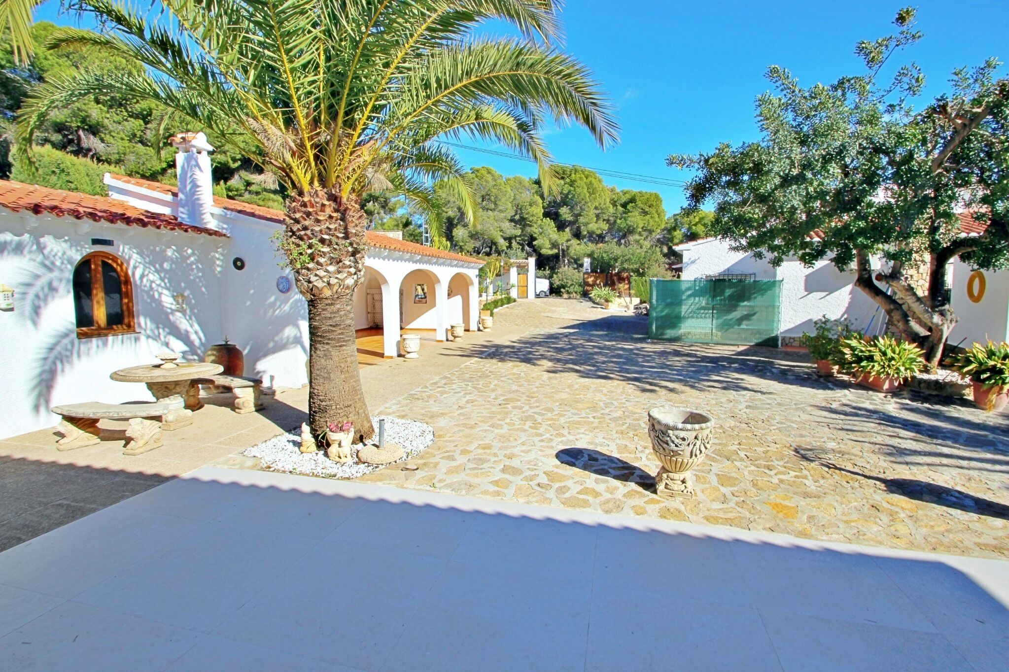 A courtyard with a palm tree, stone benches, and a tiled floor.