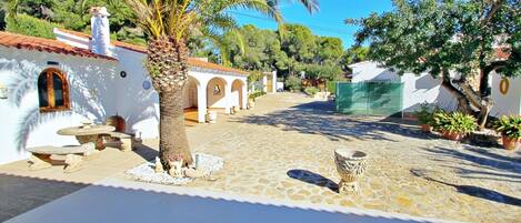 A courtyard with a palm tree, stone benches, and a tiled floor.