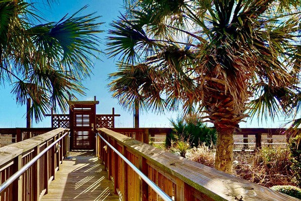 Property grounds - Oceanfront Escape! Renovated Condo, Pool, Balcony w/Ocean Views & Steps to Carolina Beach Fun (Carolina Beach)