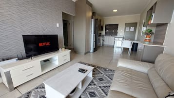 45-inch Smart TV with satellite channels, Netflix, streaming services