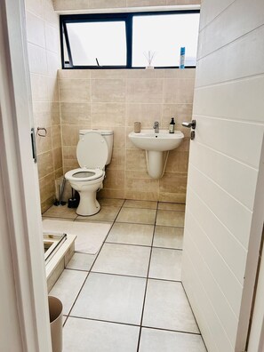 Shower, towels, soap, toilet paper