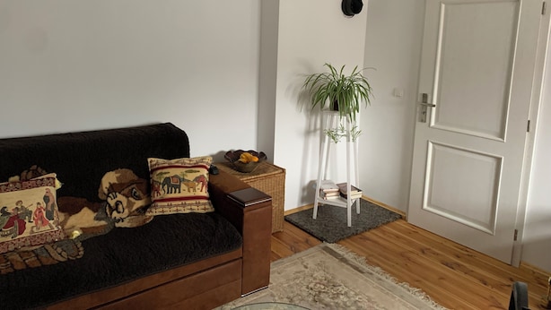 A living room with a dark brown sofa, patterned cushions, a small table with a bowl of fruit, a potted plant on a white stand, and a door in the background.