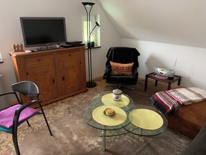 Una televisión, libros