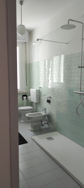 Dusche, Haartrockner, Bidet, Handtücher