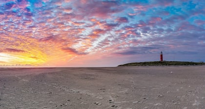 Villa on Texel near Beach and Forest