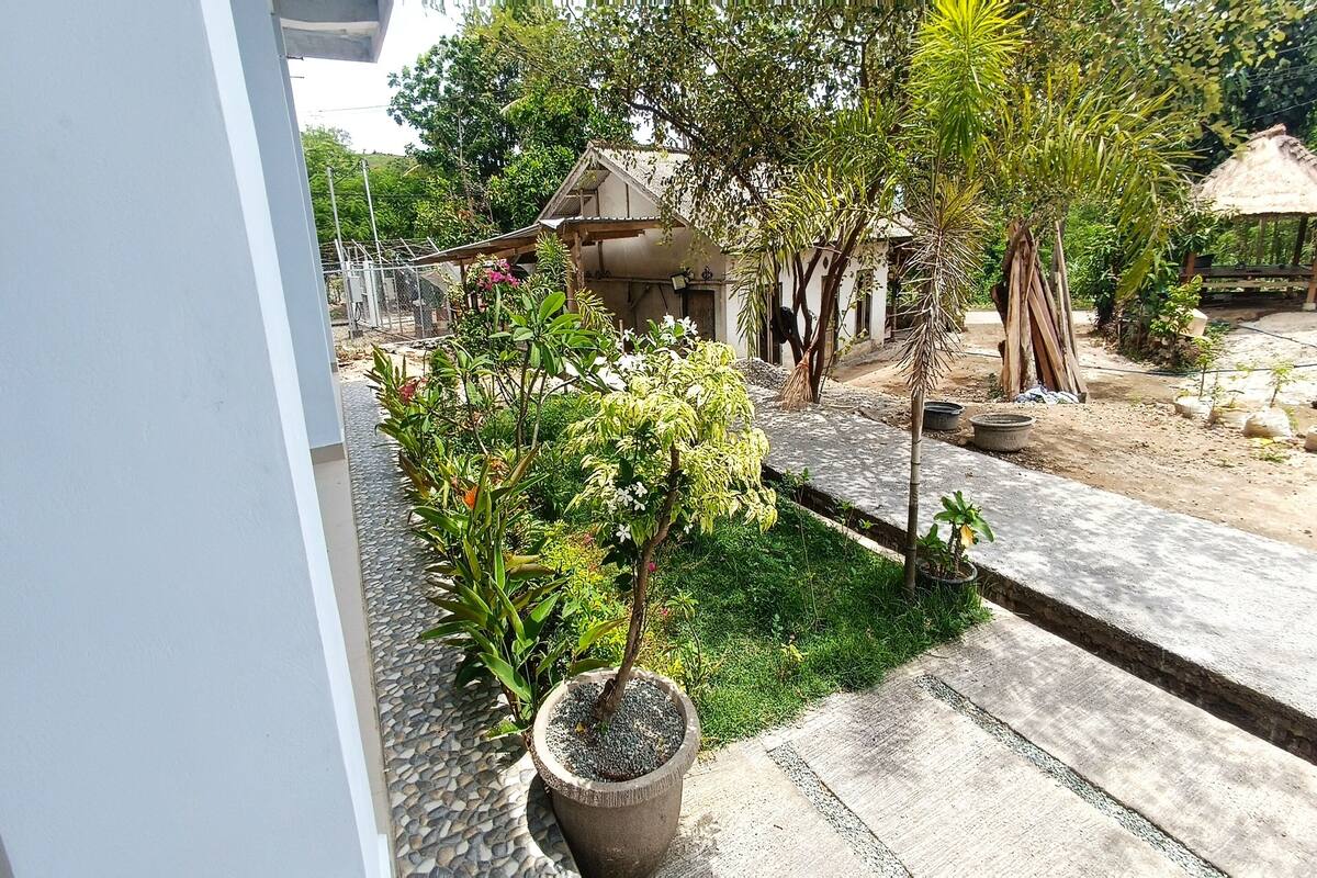A garden with potted plants, a small tree, and a thatched-roof structure.