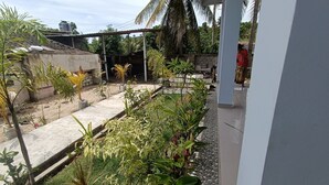 Un espace jardin agrémenté de diverses plantes, avec un réservoir d’eau en arrière-plan.