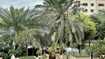 Vista da propriedade