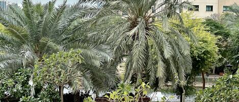 Blick von der Unterkunft