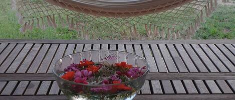 Overnattingsstedets uteområder