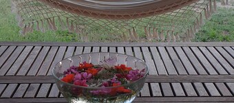 House surrounded by nature near San Pantaleo and the Emerald Coast