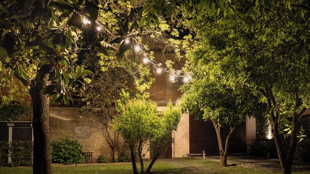 A nighttime garden with a stone pathway, trees, and string lights.