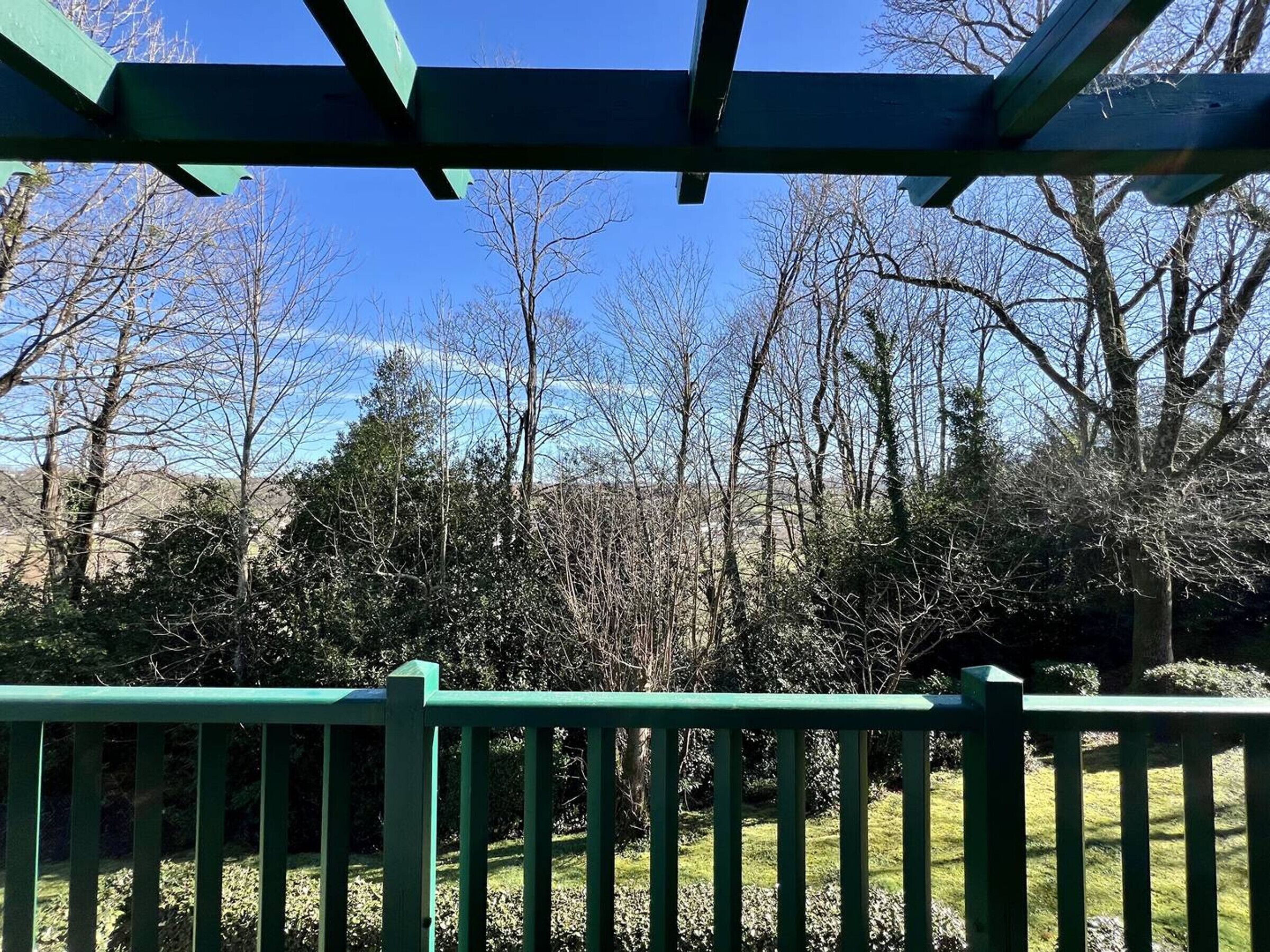 A green metal pergola structure with a view of leafless trees and a clear blue sky.
