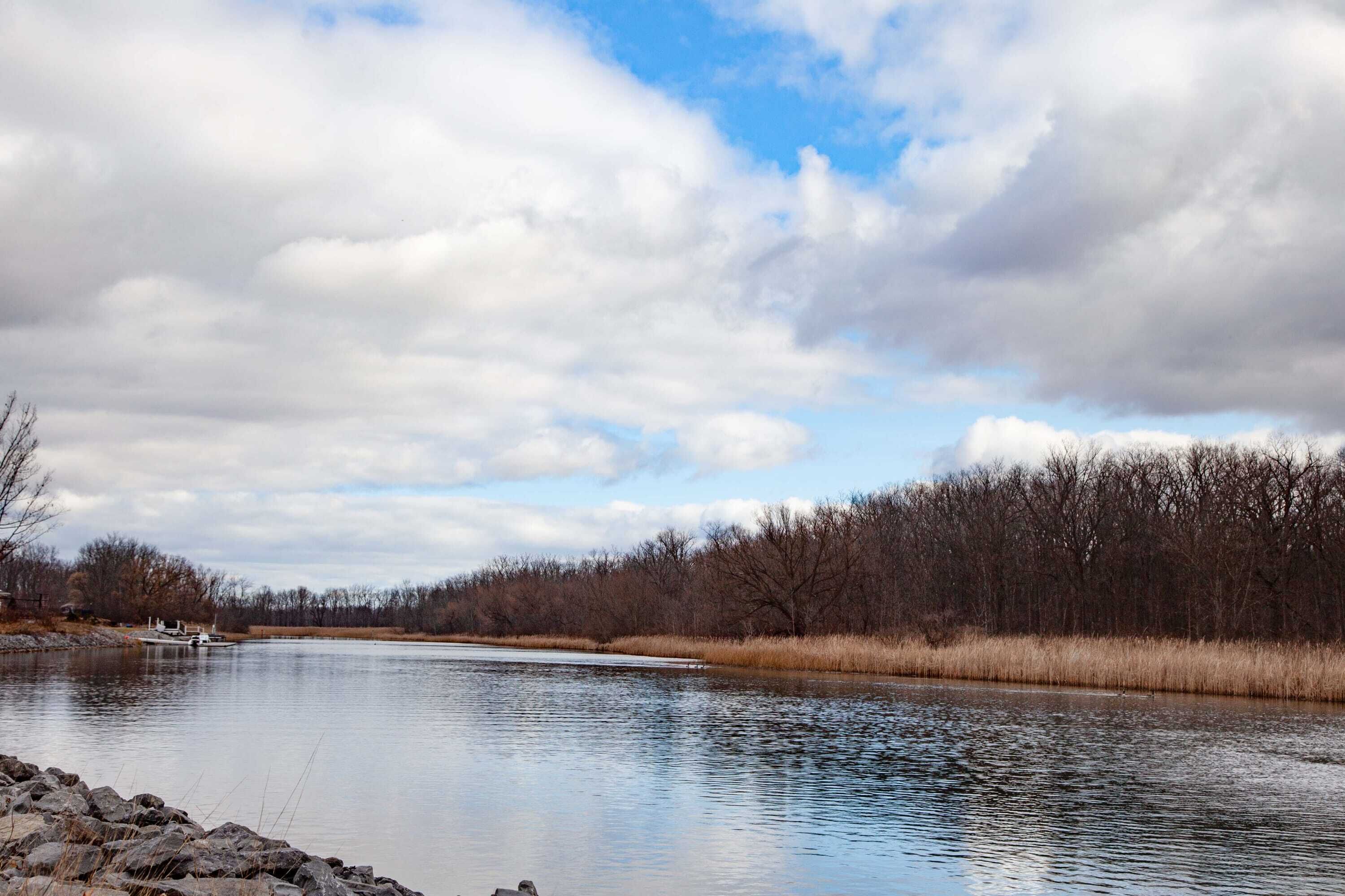 A calm river with a dock and trees in the background.