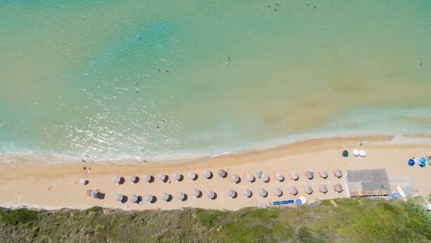 An aerial view of a beach with rows of umbrellas and beach chairs, a sandy shore, and a few people in the water. - Costa Avithos Mansion (Kefalonia)