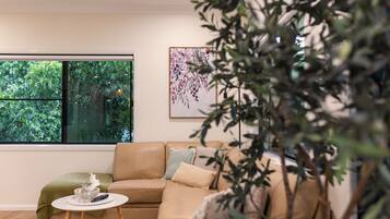 Älytelevisio, kirjoja