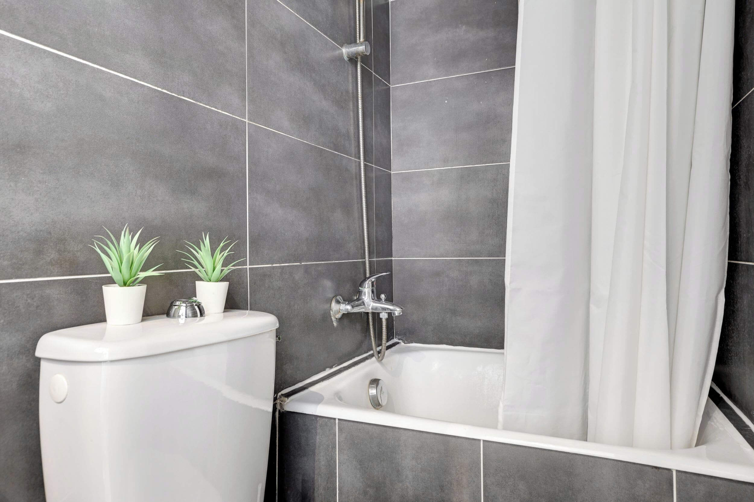 Ducha, secador de pelo, toallas