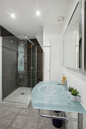 Shower, hair dryer, towels