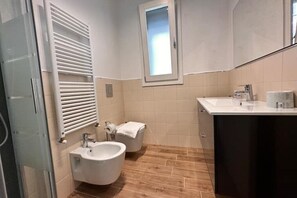 Shower, hair dryer, bidet, towels