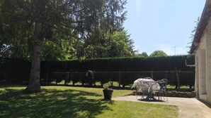 A grassy outdoor area with a tree, a fence, and metal chairs. - Maison de Caractère, Jardin Clos , au Calme, Proche zoo de Beauval et Châteaux (Écueillé)