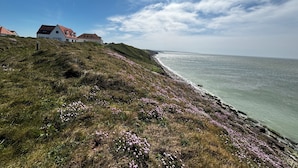 Un paisaje costero con casas sobre una colina cubierta de hierba, con vistas al mar.