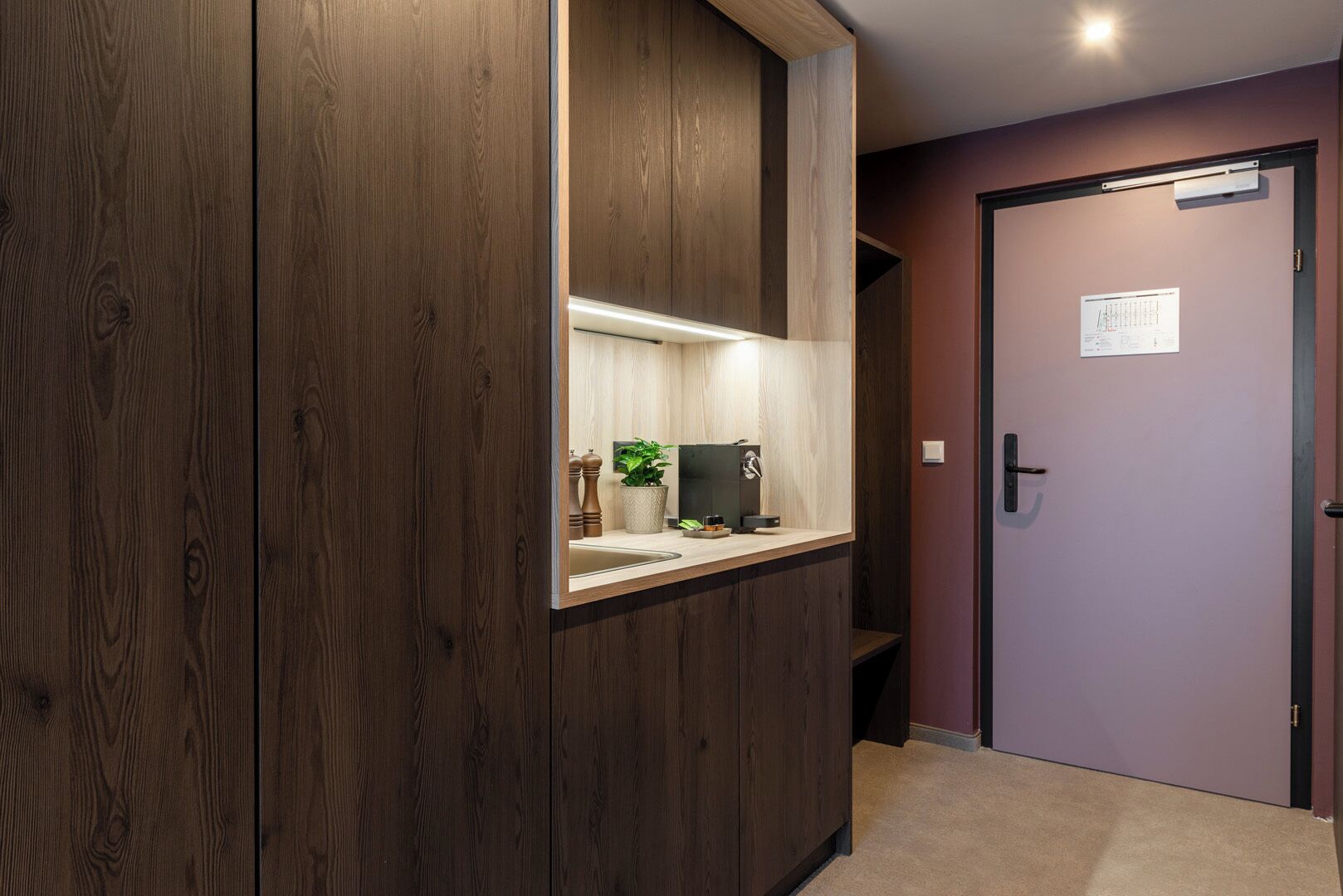 A wooden wardrobe with a mirror, a small sink, and a potted plant.