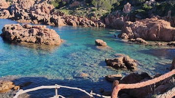 Natural pool