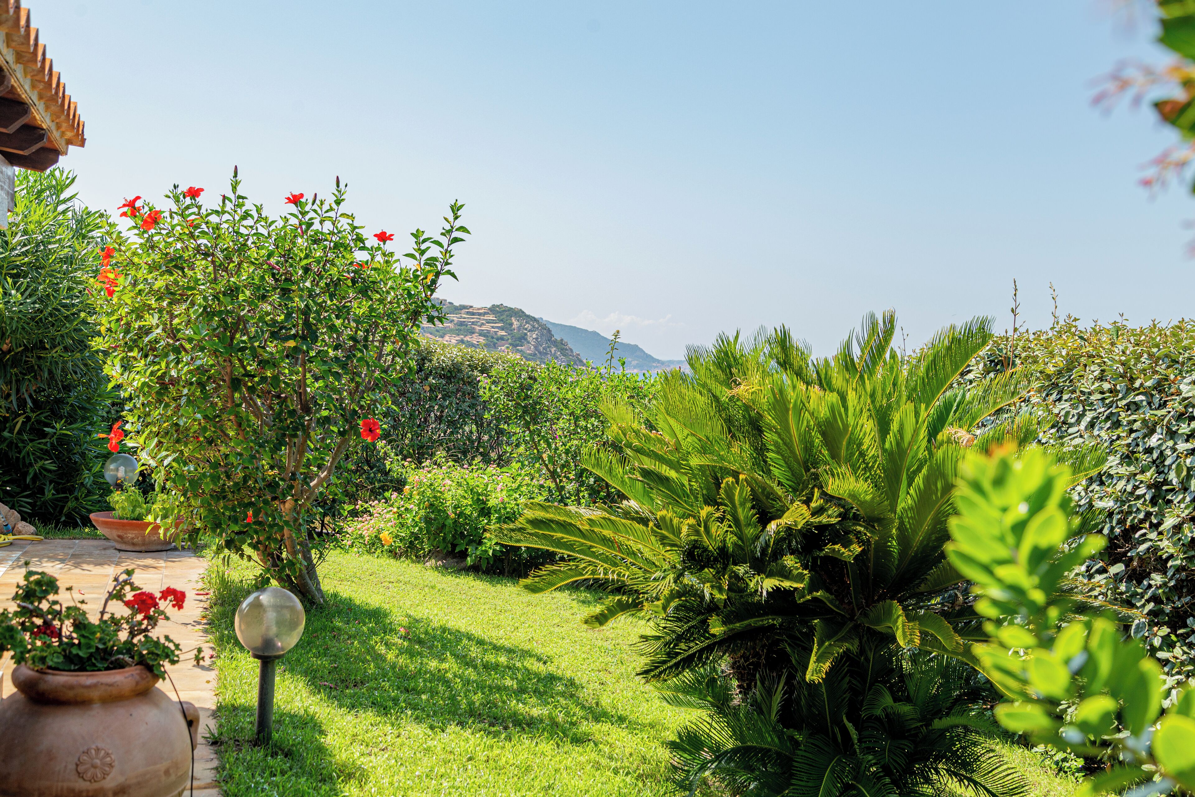 A lush garden with a variety of plants and a clear view of distant hills.