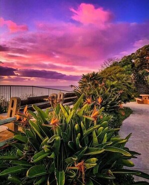 Property grounds - Surfers Dream Summary (Encinitas)