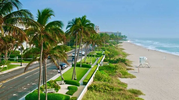 A coastal road lined with palm trees, a beach, and a lifeguard stand. - Coastal condo w/oceanfront & walk to Worth Ave (Palm Beach)