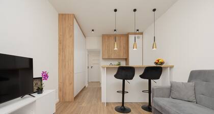 Apartment Majzela Łódź by Renters
