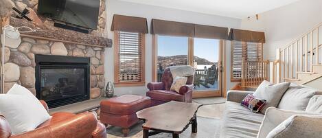 Televisión, chimenea y reproductor de DVD