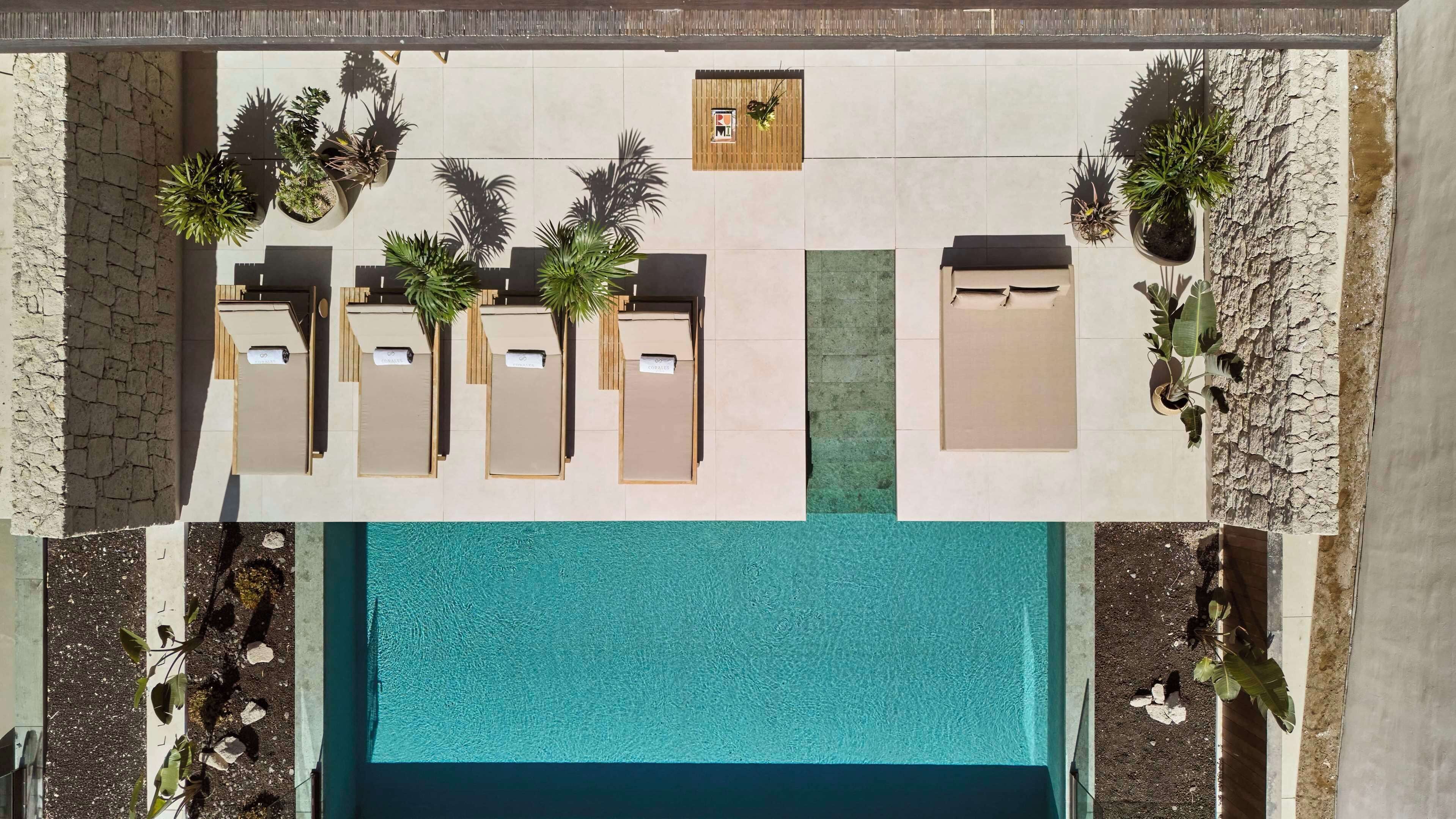 Vista aèria d'una zona de piscina d'hotel amb gandules i plantes en testos.
