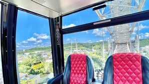 Uklassifisert bilde, 3 av 56, knapp