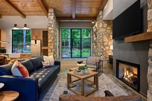 Télévision, cheminée, espaces bureaux